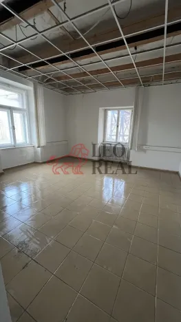 Pronájem skladu, Ústí nad Labem - Krásné Březno, Drážďanská, 19 m2