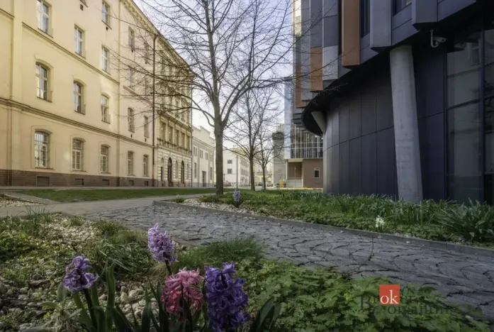 Prodej bytu 2+kk, Praha - Karlín, Pobřežní, 73 m2