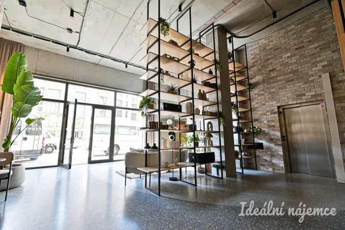 Pronájem bytu 1+kk, Brno, Bratislavská, 35 m2