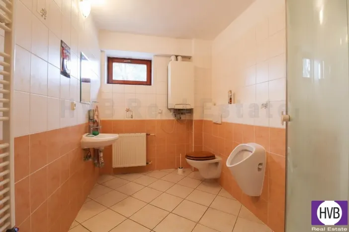 Pronájem obchodního prostoru, Ostrava, U Dvoru, 230 m2