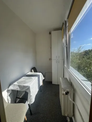 Pronájem bytu 1+kk, Kladno, Benešovská, 28 m2