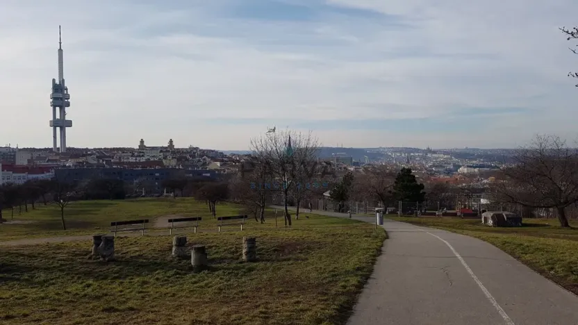 Pronájem bytu 3+kk, Praha - Žižkov, Ostromečská, 70 m2