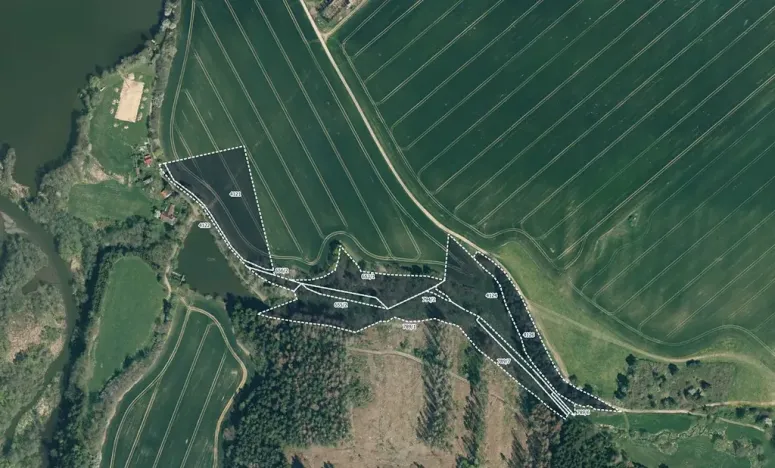 Prodej louky, Kamberk, 36264 m2