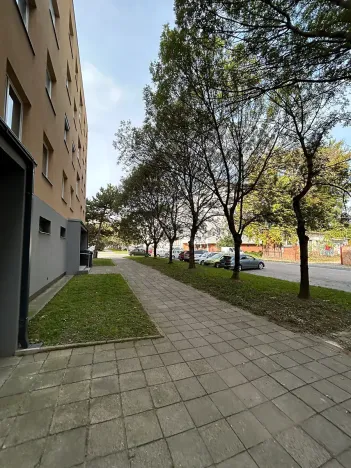 Pronájem bytu 2+kk, Brno, Křídlovická, 53 m2