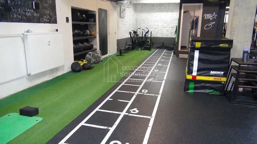 Pronájem komerční nemovitosti, Praha - Karlín, Pernerova, 358 m2