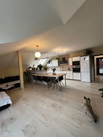 Pronájem bytu 4+kk, Chodov, Bezručova, 133 m2