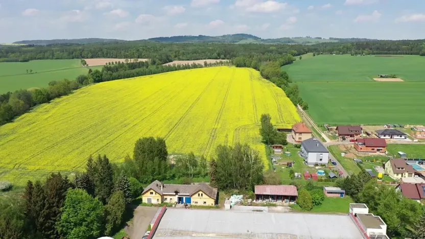 Prodej pozemku pro bydlení, Miletín, Lhotova, 16853 m2