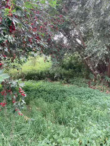 Prodej pozemku, Staňkovice, 438 m2