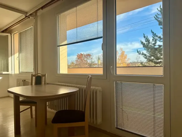 Pronájem bytu 1+kk, Příbram, Nádražní, 30 m2