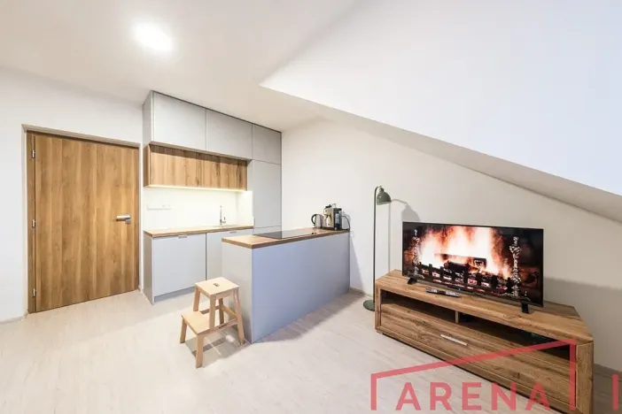 Prodej bytu 2+kk, Brno, Letní, 48 m2