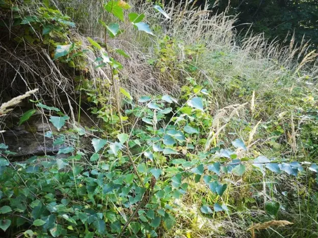 Prodej pozemku, Klatovy, 407 m2