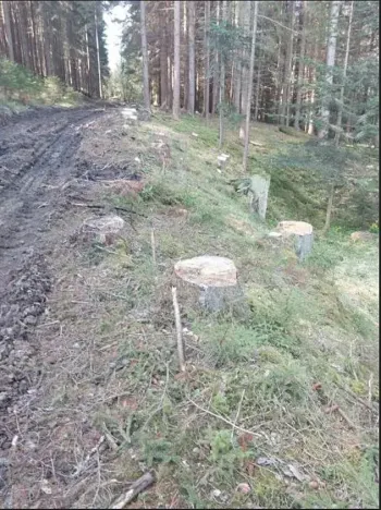 Prodej lesa, Žihobce, 802 m2