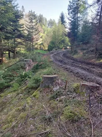 Prodej lesa, Žihobce, 802 m2