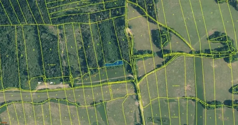 Prodej lesa, Neurazy, 727 m2