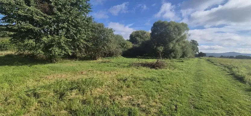 Prodej pozemku pro bydlení, Jestřebí, 1898 m2