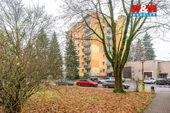 Prodej bytu 3+1, Rychnov nad Kněžnou, Na Trávníku, 69 m2