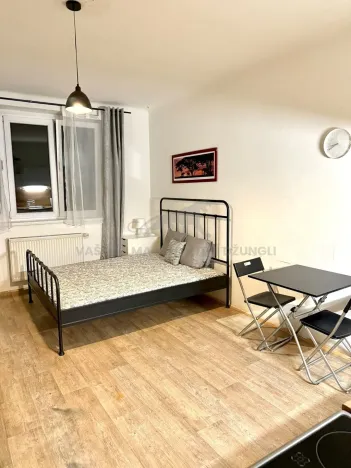 Pronájem bytu 1+kk, Praha - Košíře, Vrchlického, 36 m2