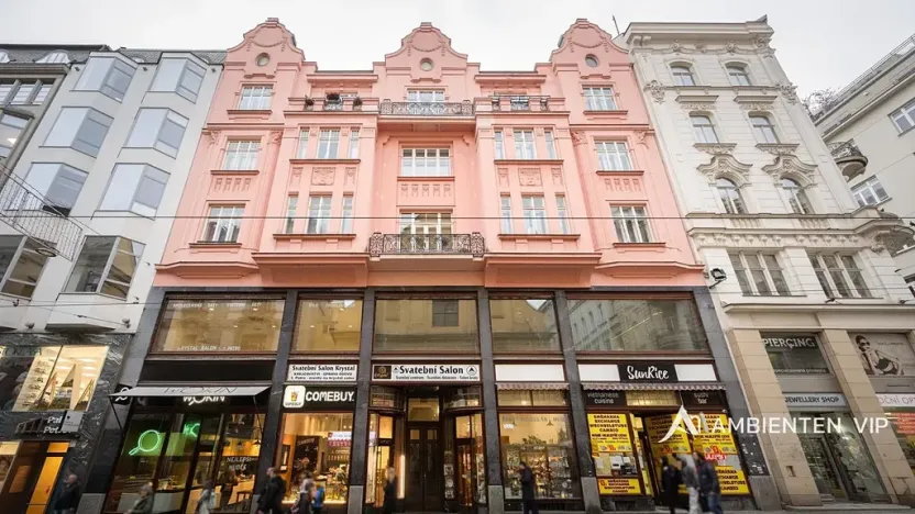 Prodej obchodního prostoru, Brno, Masarykova, 494 m2