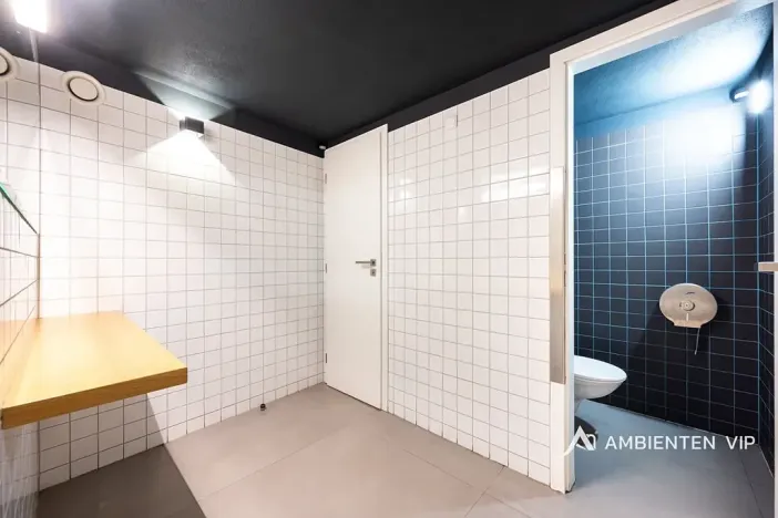 Prodej obchodního prostoru, Brno, Masarykova, 494 m2