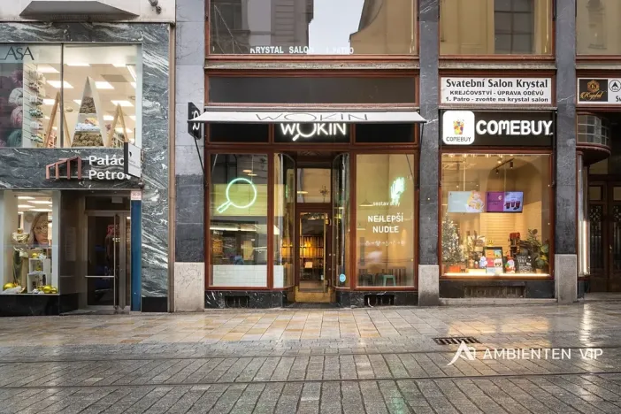 Prodej obchodního prostoru, Brno, Masarykova, 494 m2