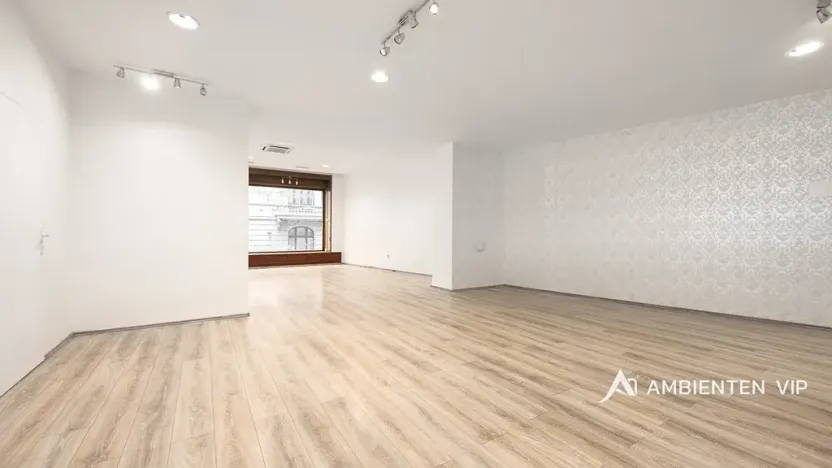 Prodej obchodního prostoru, Brno, Masarykova, 494 m2
