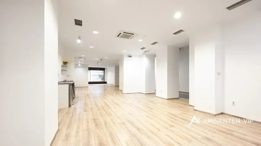 Prodej obchodního prostoru, Brno, Masarykova, 494 m2