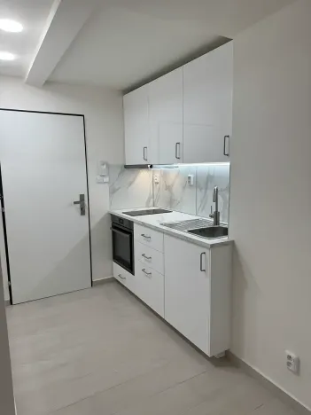 Pronájem bytu 1+kk, Praha - Vinohrady, Nad olšinami, 24 m2