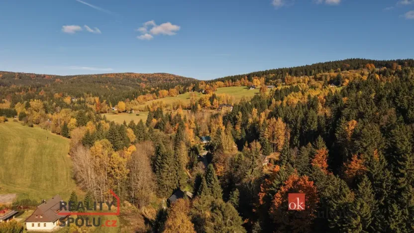 Prodej chalupy, Říčky v Orlických horách, 65 m2