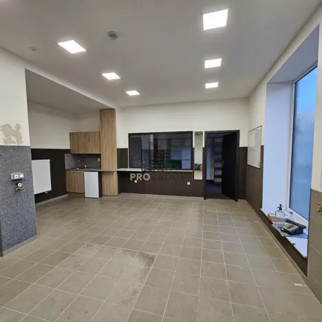 Pronájem kanceláře, Hodonín, Kolískova, 45 m2