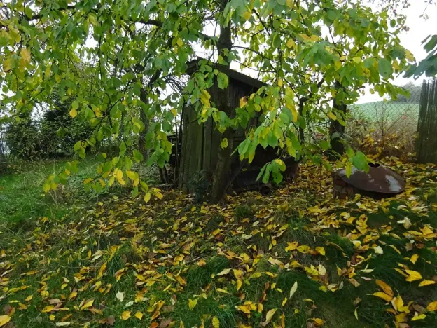 Prodej rodinného domu, Plasy, 63 m2