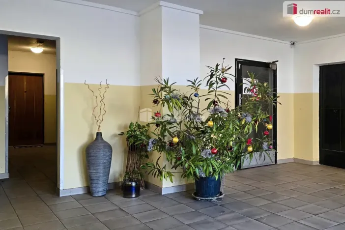 Prodej bytu 2+1, Neratovice, Kojetická, 52 m2