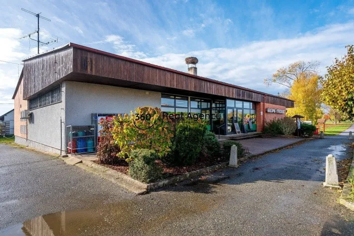 Prodej rodinného domu, Lužec nad Cidlinou, 299 m2