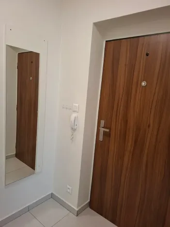 Pronájem bytu 1+kk, Brno, Kyselkova, 35 m2