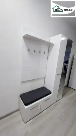 Pronájem bytu 1+1, Cheb, Lesní, 35 m2