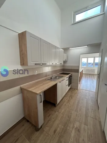 Pronájem atypického bytu, Ostrava, Sokolská třída, 60 m2