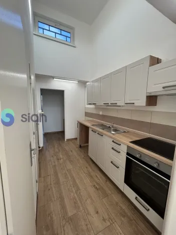 Pronájem atypického bytu, Ostrava, Sokolská třída, 60 m2