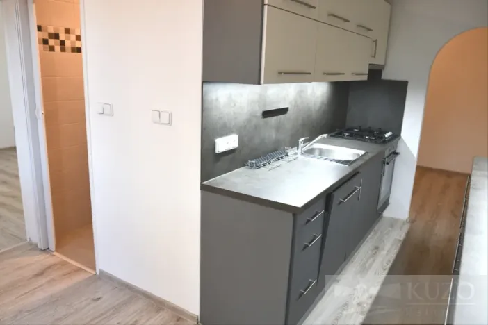 Pronájem bytu 2+1, Plzeň, Dvořákova, 62 m2