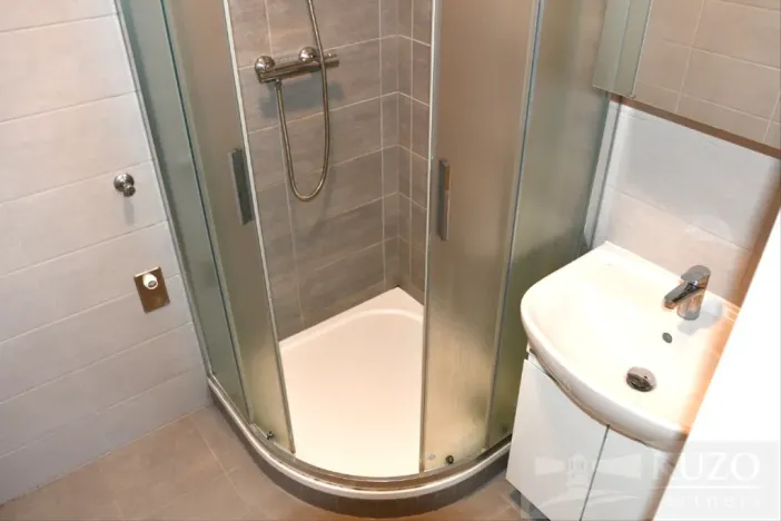 Pronájem bytu 2+1, Plzeň, Dvořákova, 62 m2