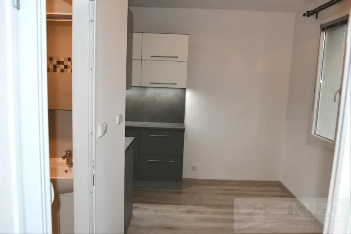 Pronájem bytu 2+1, Plzeň, Dvořákova, 62 m2