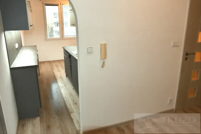 Pronájem bytu 2+1, Plzeň, Dvořákova, 62 m2