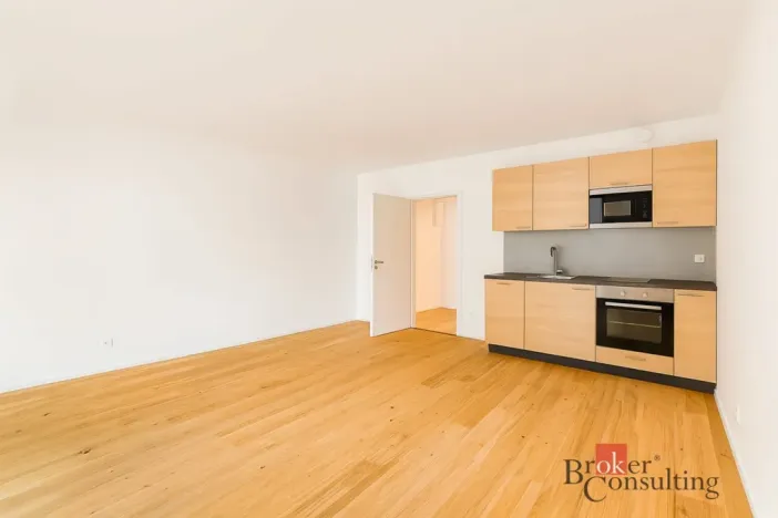 Pronájem bytu 1+kk, Brno - Zábrdovice, Bratislavská, 38 m2