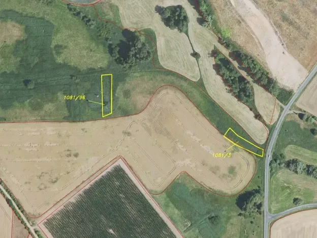 Dražba louky, Chrášťany, 1802 m2