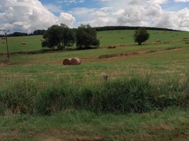 Dražba louky, Mnichov, 12065 m2