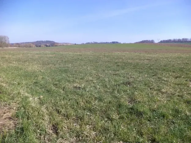 Dražba louky, Dolní Pěna, 4291 m2