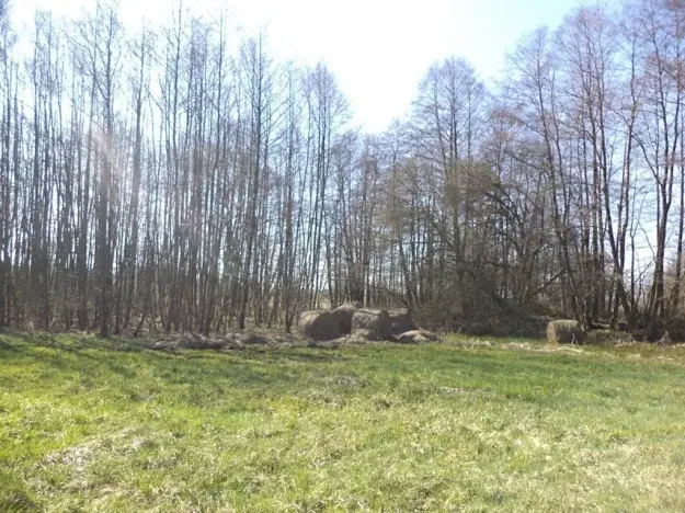 Dražba louky, Dolní Pěna, 4291 m2