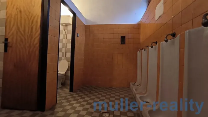 Prodej komerční, Žichovice, 753 m2