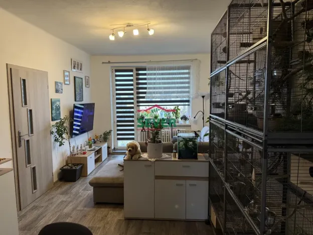 Prodej bytu 3+1, Žatec, Hájkova, 61 m2