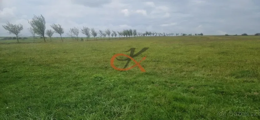 Prodej pozemku pro bydlení, Větřkovice, 4626 m2