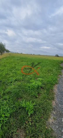 Prodej pozemku pro bydlení, Větřkovice, 4626 m2