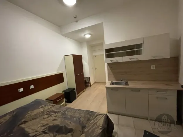 Pronájem bytu 1+kk, Praha - Žižkov, Prokopova, 19 m2